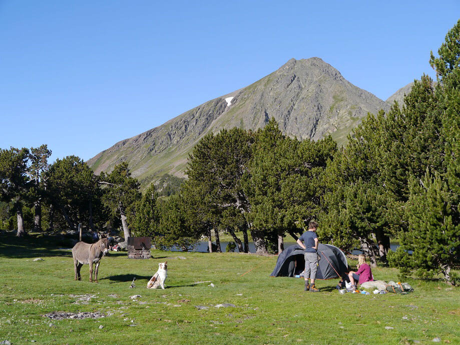 Camping sauvage aux Camporells