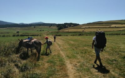 Expérience : Les randonnées accompagnées d’ânes